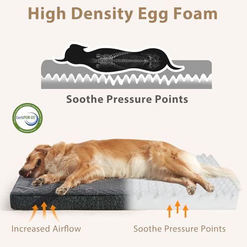joejoy xl orthopedic dog bed grey 41x27 extra thick egg memory foam