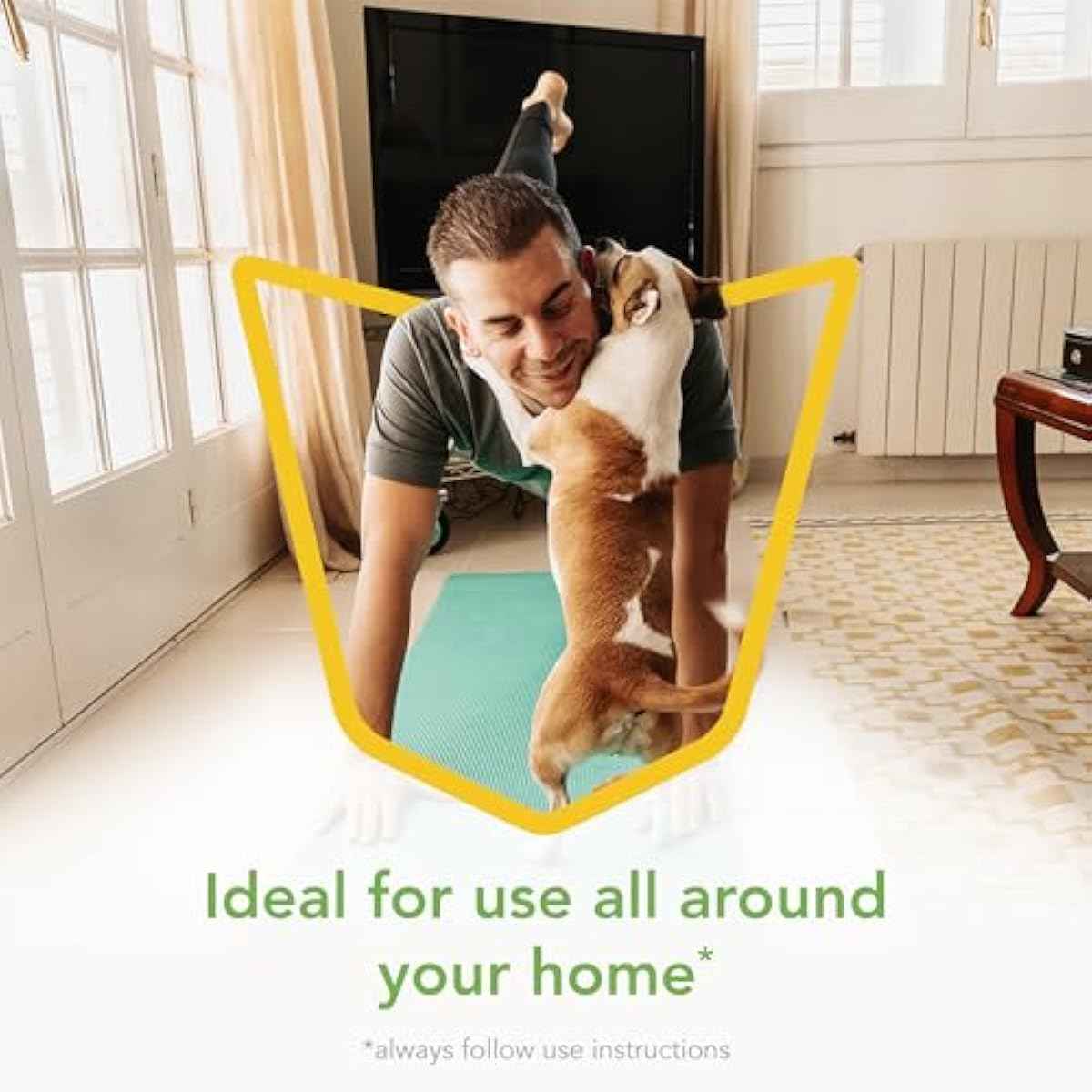 Raid Essentials Multi-Insect Killer Spray, Child and Pet Safe, for Indoor Use, Lemongrass Scent, 12 fl oz