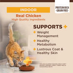 Wellness CORE+ Adult Indoor Cat Food, Grain-Free, Natural, Chicken, Turkey & Chicken Meal, 5 Pound Bag