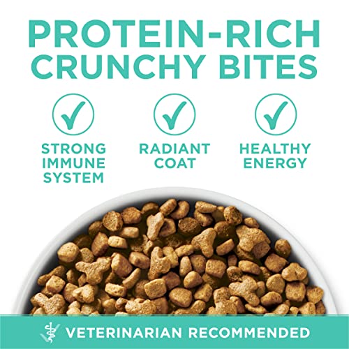 purina one sensitive stomach and skin natural turkey dry cat food 7 lb bag