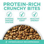 Purina ONE Sensitive Stomach Sensitive Skin Natural Dry Cat Food 22 lb Bag