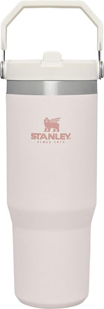30 oz stainless steel tumbler with handle and leak resistant straw
