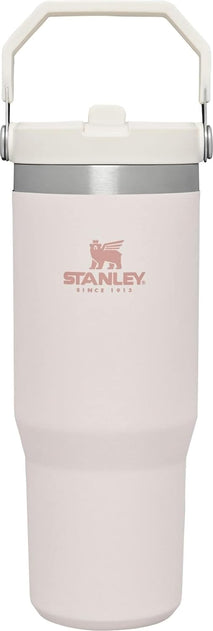 30 oz stainless steel tumbler with handle and leak resistant straw