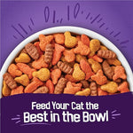 purina friskies cat food surfin and turfin favorites flavors chicken whitefish salmon filet mignon 3.15 lb bags pack of 4