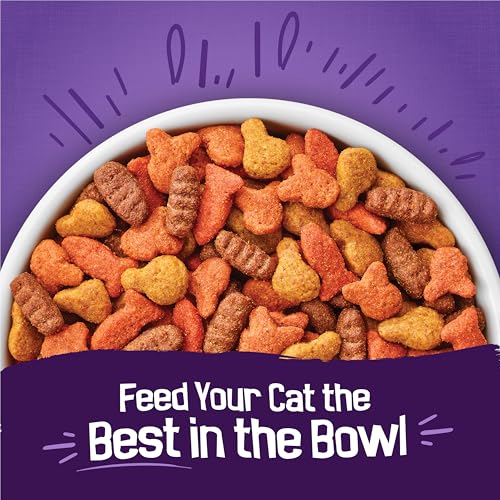 purina friskies cat food surfin and turfin favorites flavors chicken whitefish salmon filet mignon 3.15 lb bags pack of 4