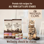 wellness-core-signature-selects-shredded-adult-cat-food-poultry-variety-pack-grain-free