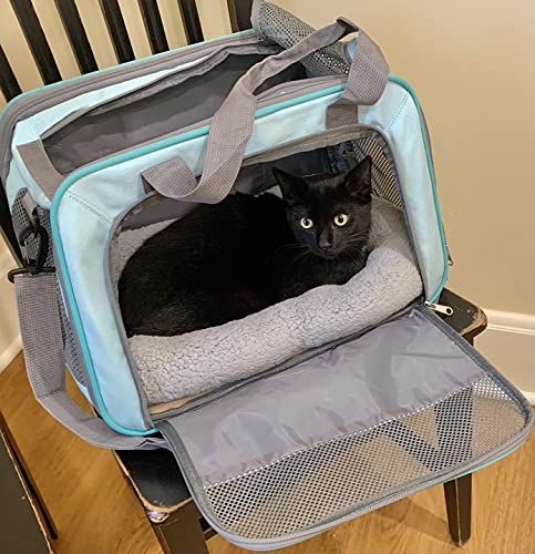Enjoying 10" x 15" Polycotton Pet Bed with Pillow and Anti Skid Bottom for Cats, Puppies, and Small Dogs