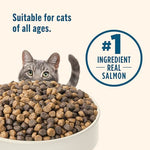 nutrish-rachael-ray-salmon-brown-rice-dry-cat-food-14lb-bag