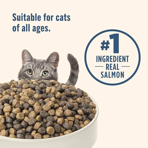 nutrish-rachael-ray-salmon-brown-rice-dry-cat-food-14lb-bag
