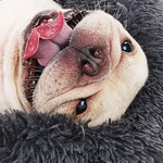 Small Calming Round Dog Bed for Small Dogs Machine Washable Fluffy Luxury Anti-Slip Waterproof Mute Base