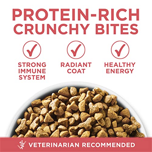 Purina ONE Natural Low Fat, Indoor Dry Weight Control High Protein Cat Food Plus Indoor Advantage With Real Salmon - 7 lb. Bag