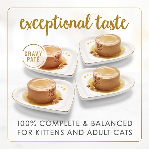 Purina fancy feast gravy lovers variety pack purina wet cat food