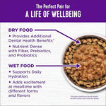 Wellness Complete Health adult dry cat food for indoor and outdoor cats, wholesome grains, natural, chicken and chicken meal, 5-pound bag