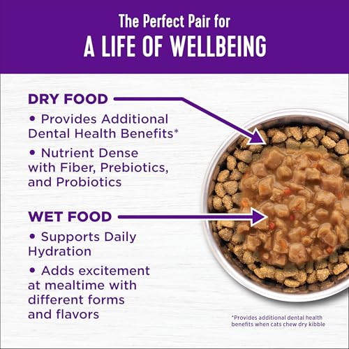 Wellness Complete Health adult dry cat food for indoor and outdoor cats, wholesome grains, natural, chicken and chicken meal, 5-pound bag