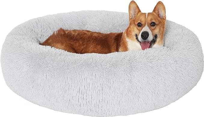 JOLLYVOGUE Dog & Cat Bed, Calming Anti-Anxiety Pet Bed for Small Dogs, Fluffy Donut Cushion for Small and Medium Pets (20")