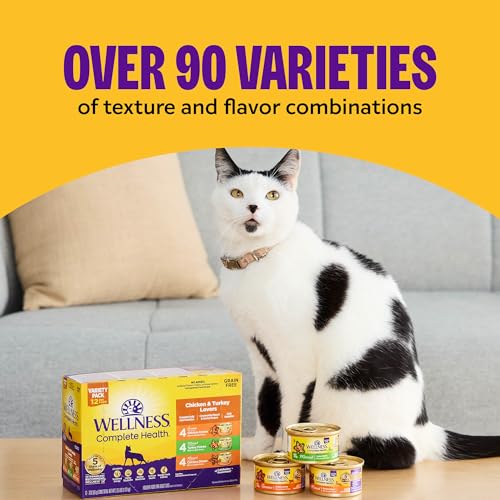 wellness complete health grain-free chicken & turkey cat food 3oz 12 pack