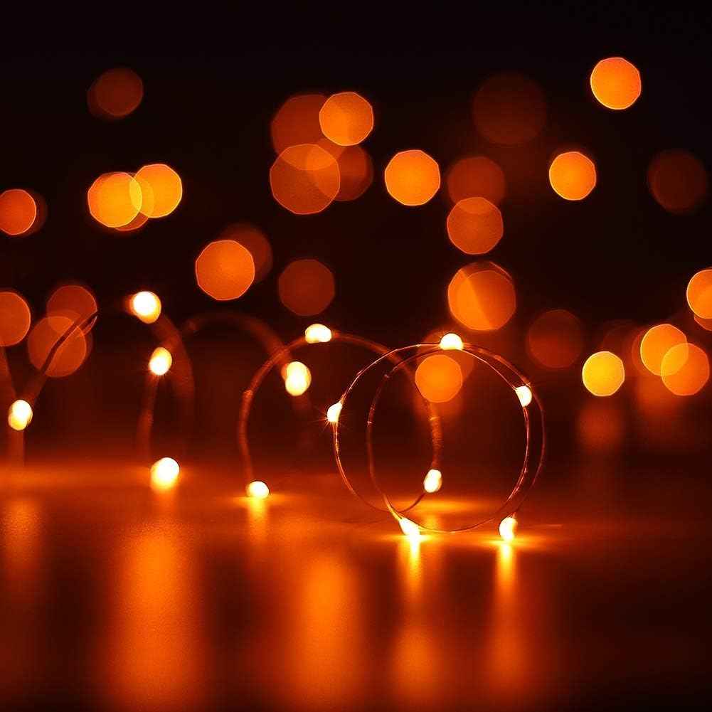 ANJAYLIA LED Fairy String Lights, 10Ft/3M 30leds Firefly String Lights Garden Home Party Wedding Festival Decorations Crafting Battery Operated Lights, Warm White