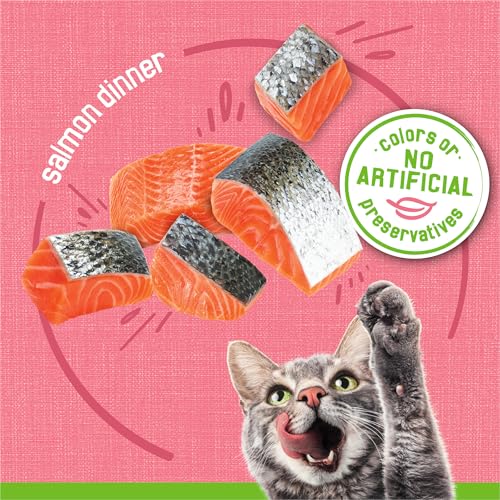 purina-friskies-wet-cat-food-pate-salmon-dinner-5-5oz-cans-pack-of-24