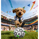 Qdan dog toys 6 inch world cup dog soccer ball with straps for small medium pet outdoor play