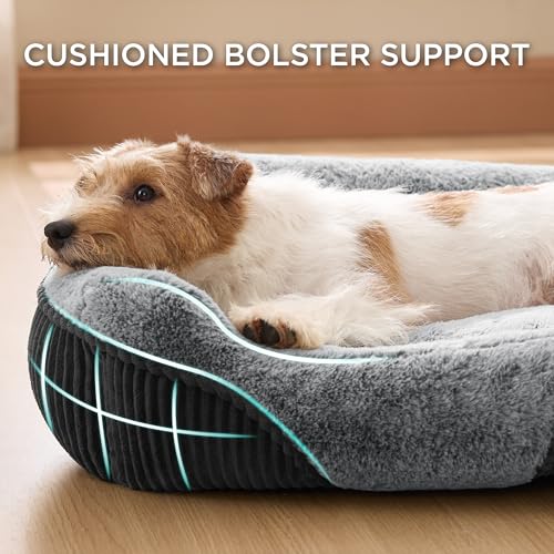 bedsure washable dog bed, small medium size, rectangle fluffy plush pet bed, comfy corduroy fleece, 25x21x7inches, suitable for pet up to 20lbs, grey
