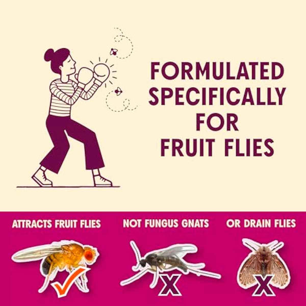 aunt-fannies-flypunch-fruit-fly-trap-for-indoor-kitchen-use-ready-to-use-made-with-plant-based-ingredients-safe-near-food