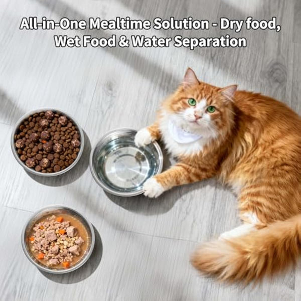 Tifanso 6PCS stainless steel cat bowls, 5.6" shallow wide whisker friendly metal kitten plates, indoor pet food tray, dishwasher safe