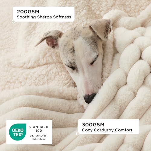 Bedsure ComfyFleece waterproof dog blanket for large dogs, soft corduroy fleece, 50x60 inches, cream color