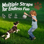 Qdan dog toys 6 inch world cup dog soccer ball with straps for small medium pet outdoor play
