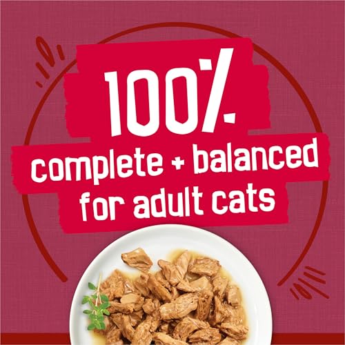 purina friskies gravy wet cat food variety pack, 24-count, 5.5 oz cans, real beef, chicken, or turkey
