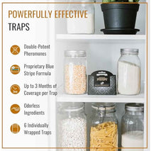 Dr. Killigan's Premium Double Potent Pantry Moth Traps with Pheromones Prime, Sticky Indian Meal Moth Traps for Kitchen, How to Get Rid of Moths in House (6 Pack, Black)