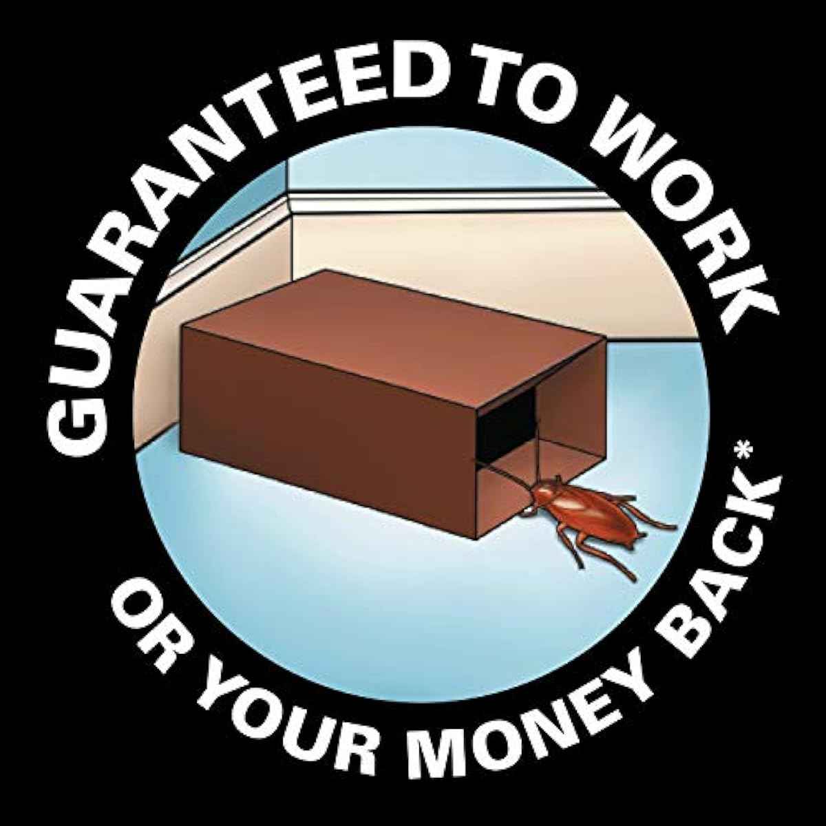 Black Flag Roach Motel Traps, 2-Count, 1-Pack