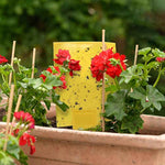 Gideal 20-pack yellow sticky traps for flying plant insects, 6x8 inches, 20pc twist ties included