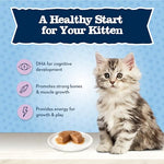 blue buffalo baby blue natural dry kitten food with dha chicken brown rice recipe 5lb bag