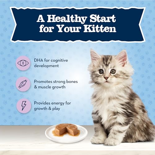 blue buffalo baby blue natural dry kitten food with dha chicken brown rice recipe 5lb bag