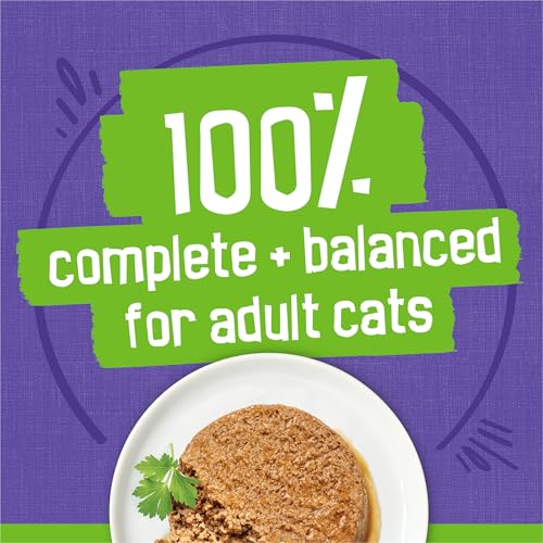 purina friskies seafood and chicken pate wet cat food 40ct variety pack 5.5 oz cans