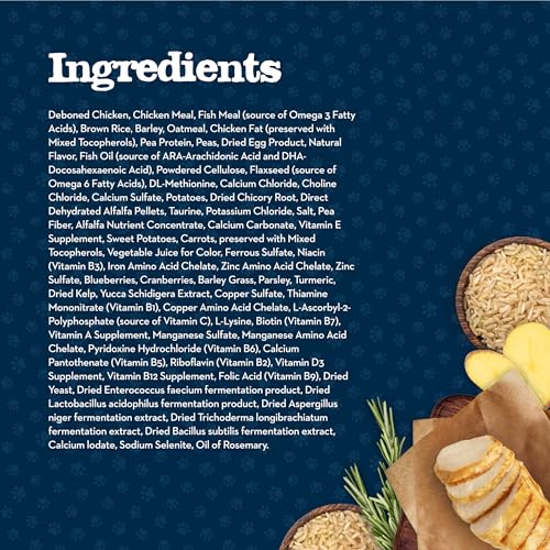 blue buffalo baby blue natural dry kitten food with dha chicken brown rice recipe 5lb bag