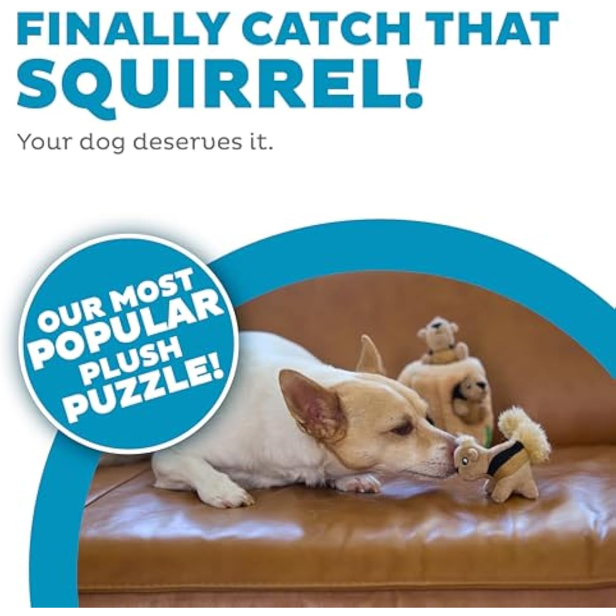 Outward Hound Hide-A-Squirrel Dog Toy – Interactive 2‑in‑1 Plush Puzzle with 3 Squeaky Removable Squirrels, Small