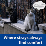 outdoor-heated-cat-bed-soft-pet-heating-pad-with-steel-wrapped-cord