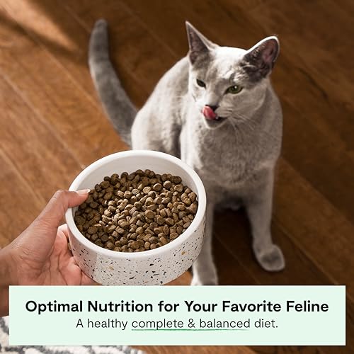 open-farm-homestead-turkey-chicken-grain-free-high-protein-kibble-complete-balanced-diet