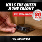 ortho orthene ant killer ant bait, 12 stations, kills queen and colony, indoors