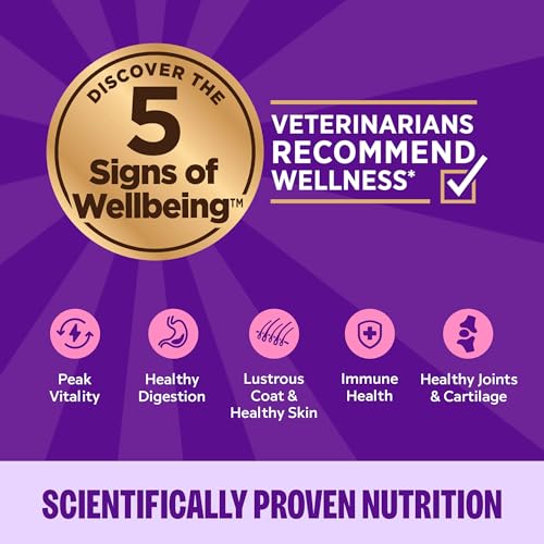 wellness complete health grain-free chicken & turkey cat food 3oz 12 pack