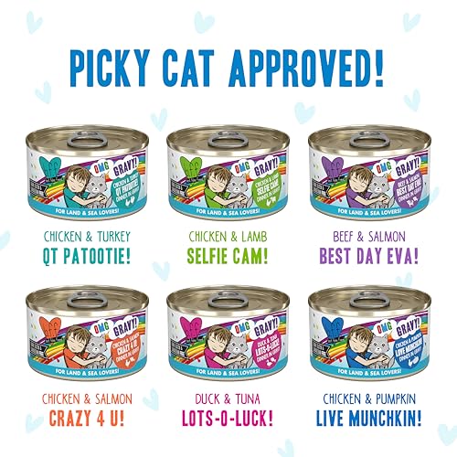 Weruva B.F.F. OMG - Best Feline Friend Oh My Gravy!, Variety Pack, Rainbow Road, Wet Cat Food by, 2.8oz Can (Pack of 12)