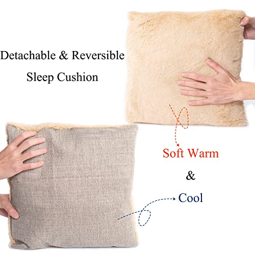 WindRacing cat bed for indoor cats with removable cushion and washable pillow, small and medium pet bed furniture