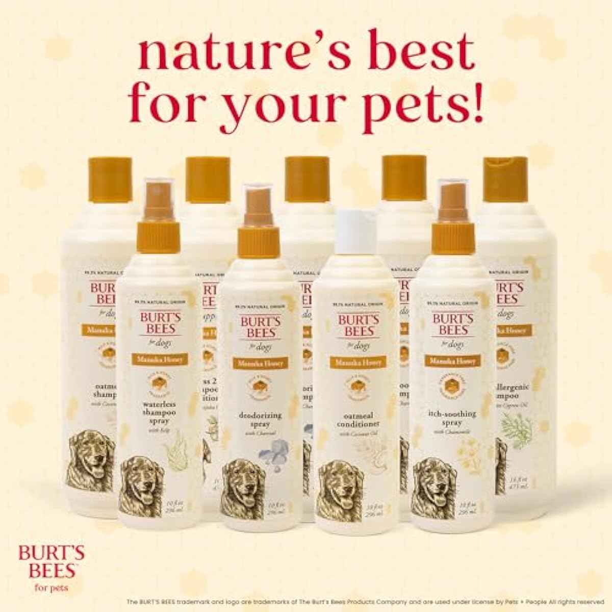 Burt’s Bees for Pets Itch Shampoo with Manuka Honey and Chamomile for Dogs, Itch Relief for Dogs - Naturally Derived Ingredients, 16 Fl Oz