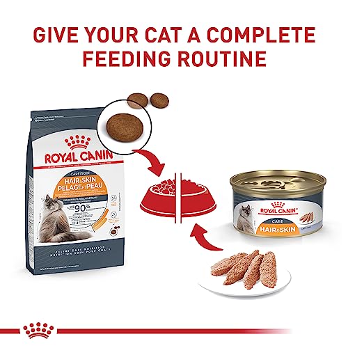 royal-canin-feline-care-nutrition-hair-skin-care-adult-dry-cat-food-3-lb-bag