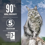 Orijen guardian senior grain free dry cat food 4lb bag for older cats high protein