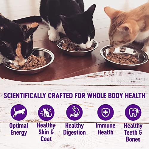 Wellness Healthy Indulgence Morsels Adult Wet Cat Food, Natural, Protein-Rich, Grain-Free, 8 Pack