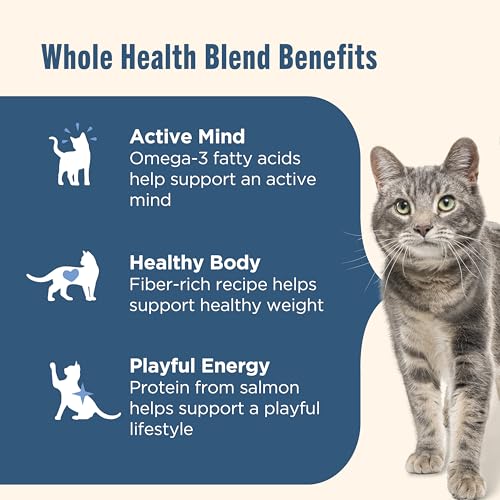 nutrish-rachael-ray-salmon-brown-rice-dry-cat-food-14lb-bag