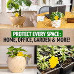 Super Ninja Fungus Gnat Traps - 30 Pack, Highly Effective Gnat Traps for House Indoor, Yellow Sticky Trap for Plants, Non-Toxic & Nature-Friendly, Up to 3 Months