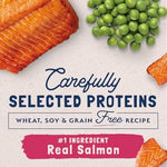 Natural Balance Limited Ingredient Adult Grain-Free Dry Cat Food Salmon & Green Pea Recipe 10 Pound Bag